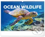 NOTIQUE Nástěnný kalendář Ocean wildlife (Podmořský svět) 2026