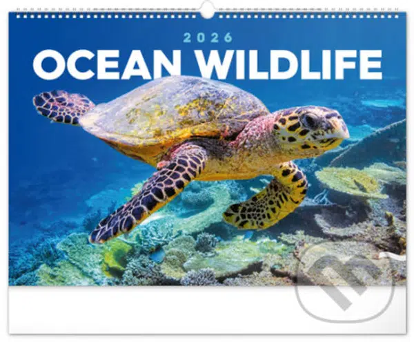 NOTIQUE Nástěnný kalendář Ocean wildlife (Podmořský svět) 2026