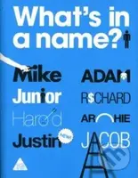 What s in Name? - PatrickGeorge - kniha z kategorie Umění, design a architektura