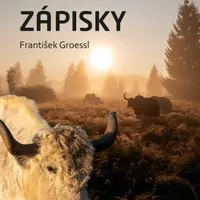 Pastevcovy zápisky (Defekt) - František Groessl