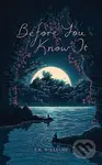 Before You Know It - S K Williams - kniha z kategorie Poezie