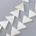 Natural Freshwater Shell Beads Strands