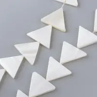 Natural Freshwater Shell Beads Strands