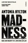 Madness: Race and Insanity in a Jim Crow Asylum - Antonia Hylton - kniha z kategorie Historie