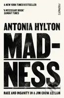 Madness: Race and Insanity in a Jim Crow Asylum - Antonia Hylton - kniha z kategorie Historie