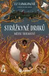 Strážkyně draků: Město tajemství - Liz Flanagan, Joe Todd-Stanton (ilustrátor)