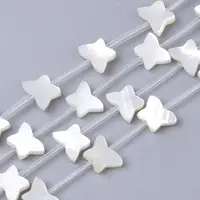 Natural White Shell Beads