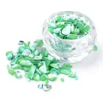 Natural Sea Shell Beads