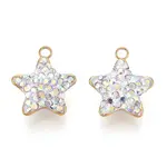 Ion Plating(IP) 201 Stainless Steel Charms