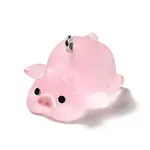 Translucent Resin Pendants