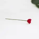 Resin Simulation Rose Model with Iron Wire