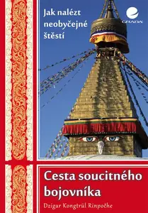 E-kniha: Cesta soucitného bojovníka od Kongtrül Dzigar