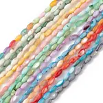 Natural Freshwater Shell Dyed Beads Strands