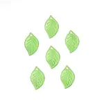 Transparent Acrylic Pendants