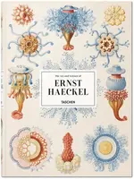 The Art and Science of Ernst Haeckel - Rainer Willmann, Julia Voss