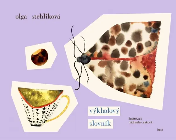Výkladový slovník (poškozená) - Olga Stehlíková