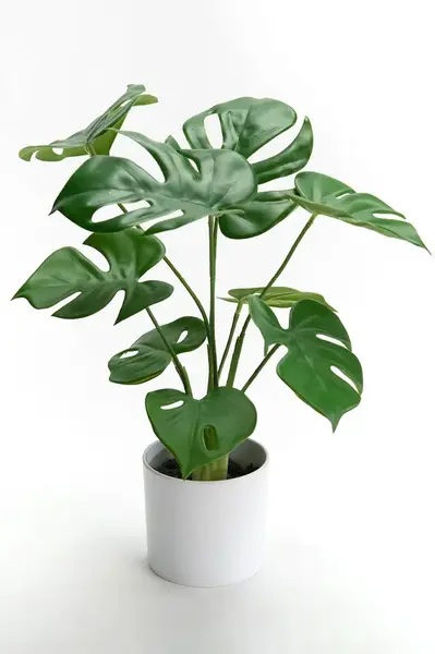 Umělá rostlina v květináči home & lifestyle 10 x 39 cm