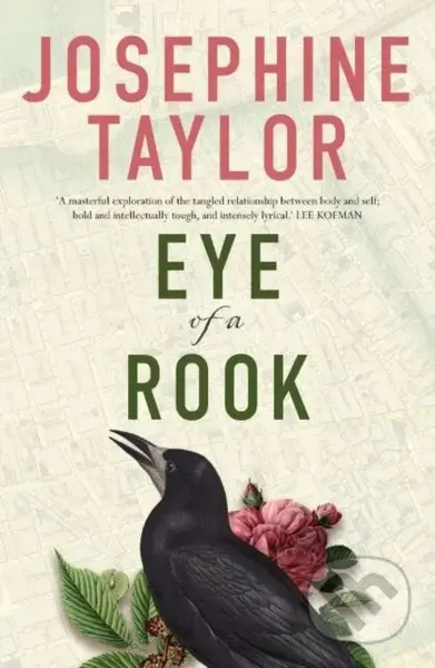 Eye of a Rook - Josephine Taylor - kniha z kategorie Společenská beletrie