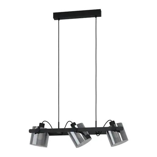 Závesné osvetlenie Eglo HORNWOOD 2 čierna 43606