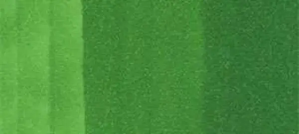 Copic Ink – G07 Nile Green