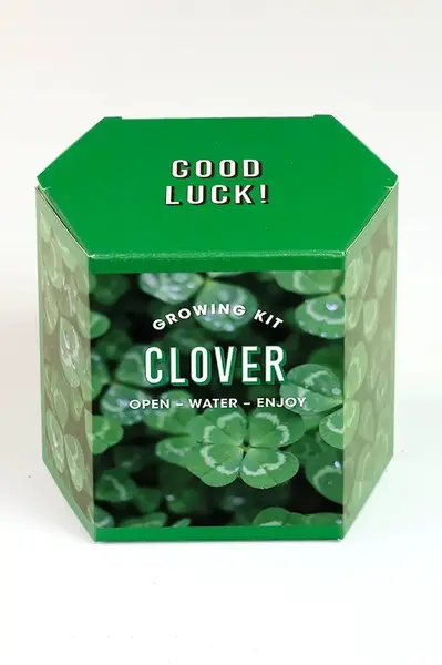 Sada na pestovanie rastlín RESETEA Clover Growing Kit 9,8 x 8,8 x 8,8 cm