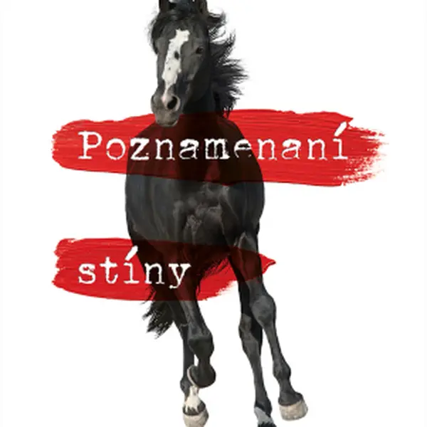 Poznamenaní stíny - Marianne Cedervall - e-kniha