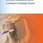 Ochrana základních práv a svobod v trestním řízení - Jiří Jelínek