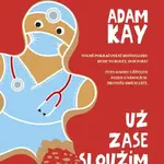Už zase sloužím o Vánocích - Adam Kay
