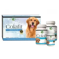 DACOM Colafit Max Forte dárkový balíček velký 1 kus