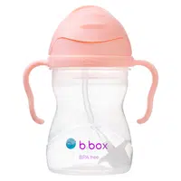 B.BOX Hrneček s brčkem GELATO tutti frutti 6m+ 240 ml