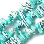 Dyed Natural Trochus Shell Beads Strands