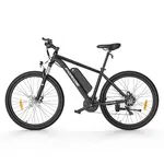 Foride Xtremer 1 36V 250W 13Ah 29 inch Tires Electric Bike
