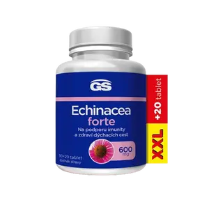 GS Echinacea forte XXL 110 tablet