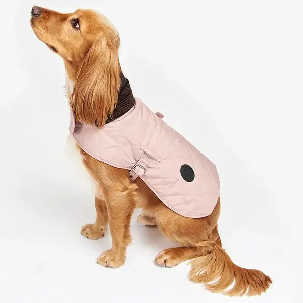 Kabát pre psa Barbour