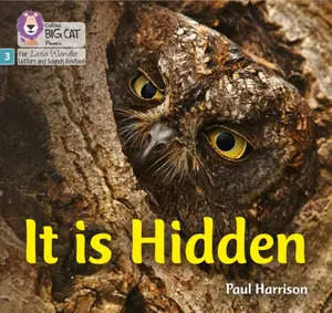 It is Hidden - Paul Harrison