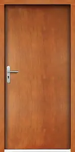 Venkovní vchodové dveře P18