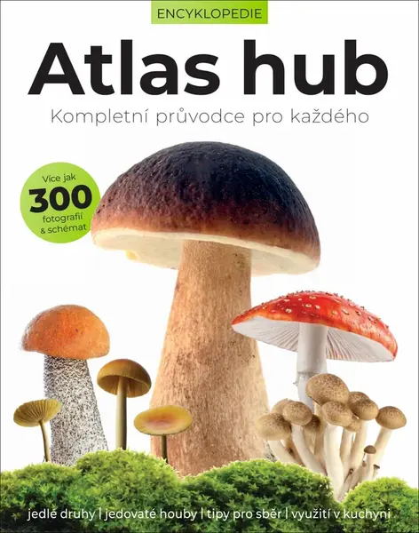 Atlas hub - Liz O’Keefeová