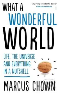 What a Wonderful World (Life, the Universe and Everything in a Nutshell)