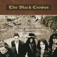 The Black Crowes – The Southern Harmony And Musical Companion LP
