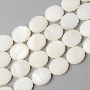 Natural Freshwater Shell Beads Strands