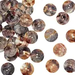 40Pcs 2-Hole Shell Buttons