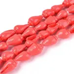 Spray Painted Natural Spiral Shell Beads Strands