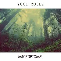 Yogi Rulez – Microbiome
