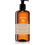 Apivita Dandruff Dry Dandruff Shampoo šampon proti lupům 500 ml