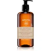 Apivita Dandruff Dry Dandruff Shampoo šampon proti lupům 500 ml