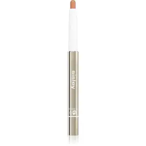 Sisley Stylo Correct pečující korektor s vysokým krytím odstín N°3 1.7 g