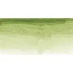 Akvarelová barva Sennelier 1/2 – 213 Green Earth