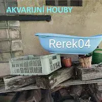 AKVARIJNÍ HOUBY – Rerek04