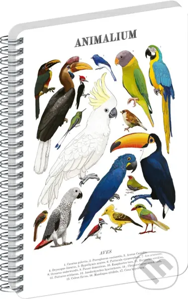 NOTIQUE Špirálový blok Animalium – Vtáky