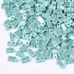 2-Hole Opaque Glass Seed Beads